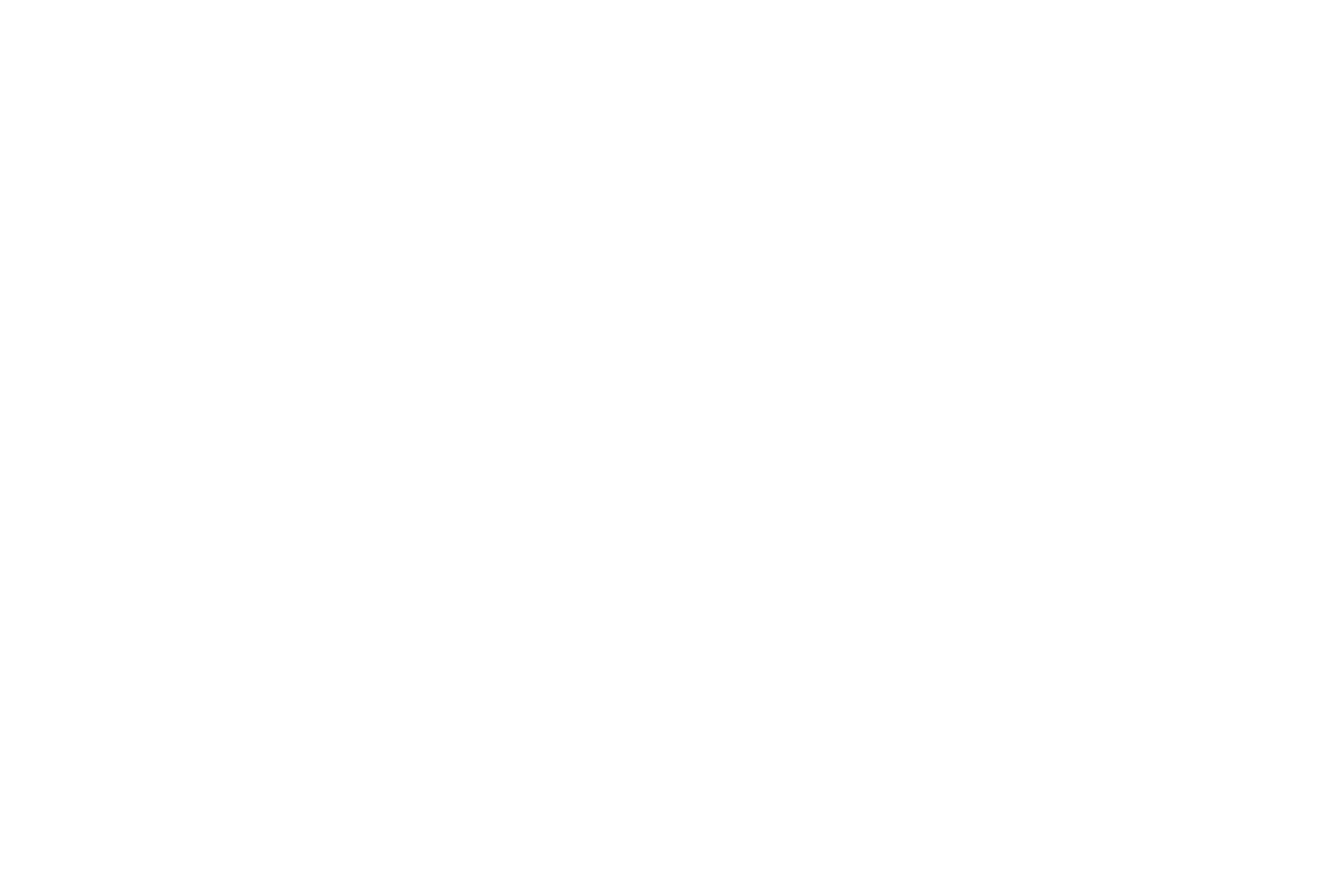 MATT FERGUSON Photography Logo